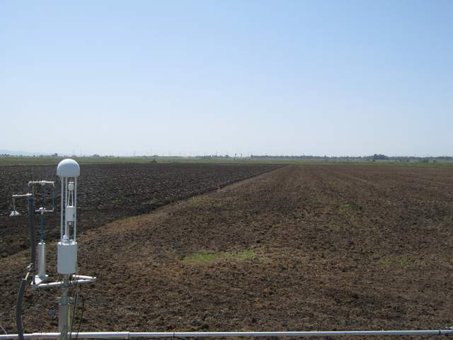 Plowing the field