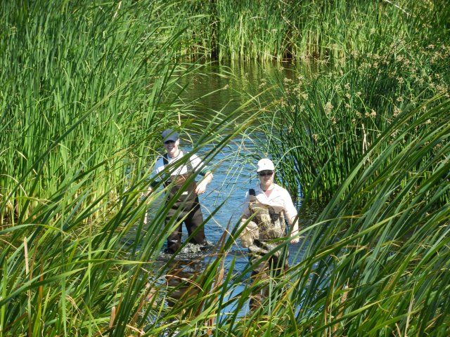 Cove and Sara in the wetland