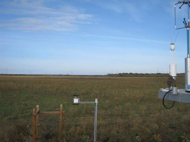 Cow pasture and bird (meadowlark?) near eddy sensors