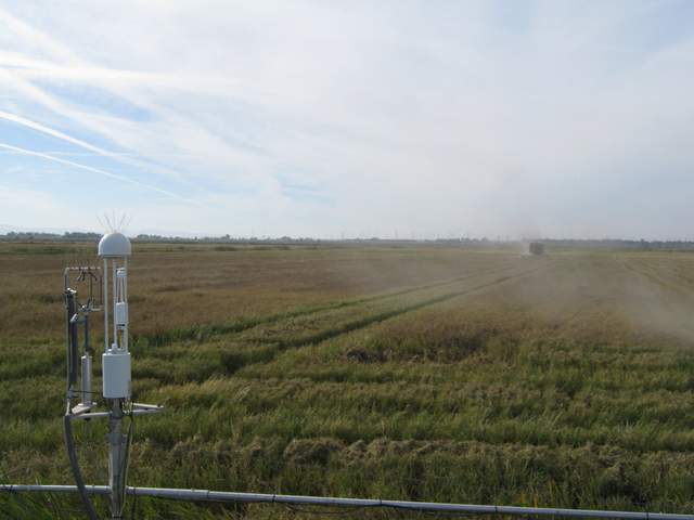 Tractor harvesting the rice