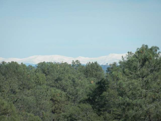  Sierra Snow