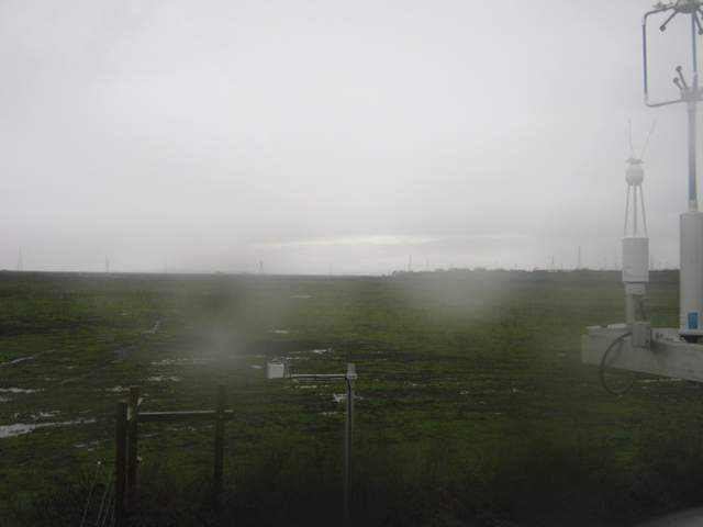 Rain and puddles on the cow pasture