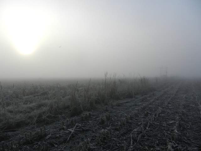  Frost And Fog