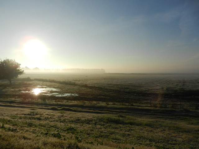  Morning Fog 2