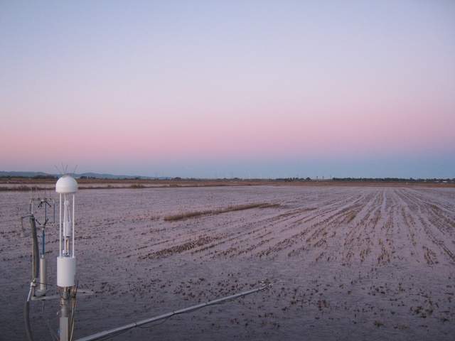 Frozen water at dawn