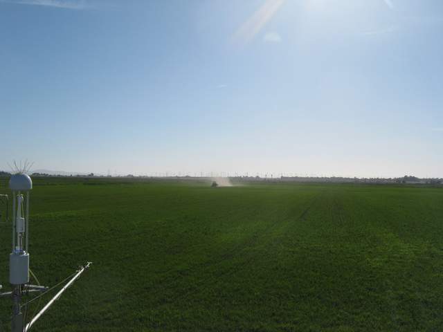 Tractor spraying the field
