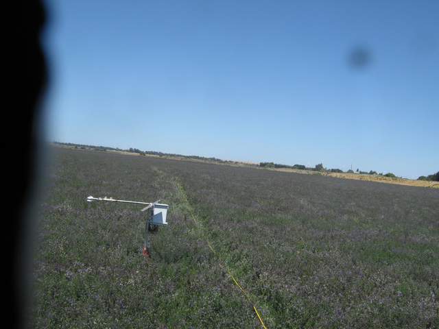 Laying out transect