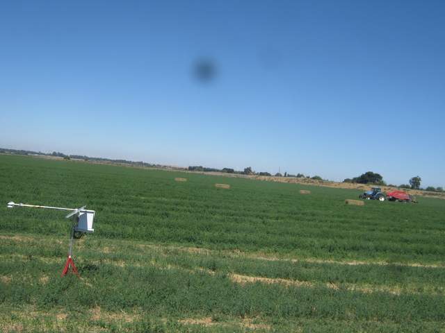 Baling alfalfa