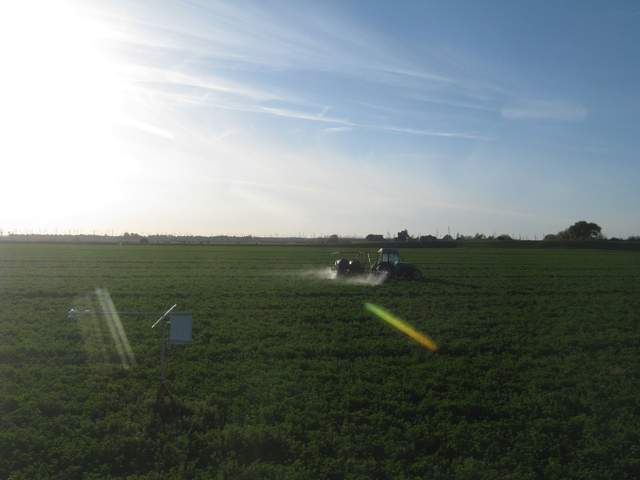 Spraying the alfalfa