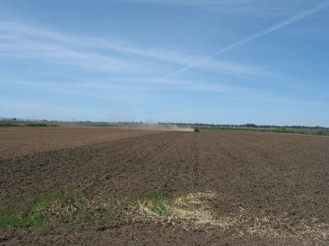 Tractor tilling the rice field