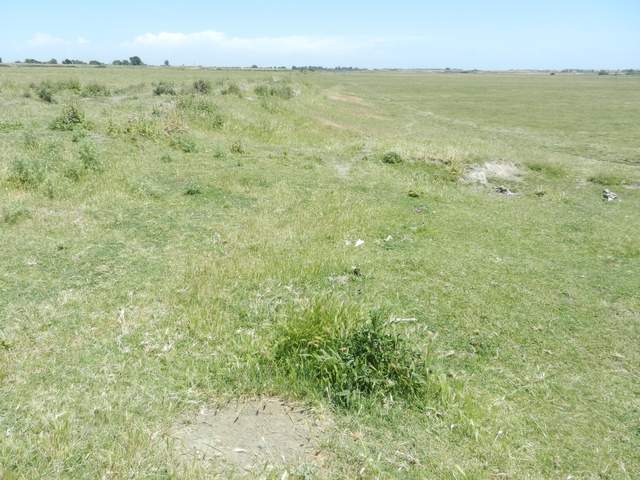 view of field site