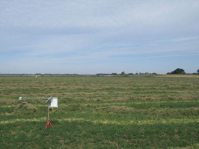 Alfalfa cutting have been raked