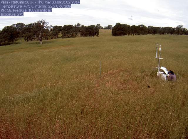 Siyan working on the tower in tall grass