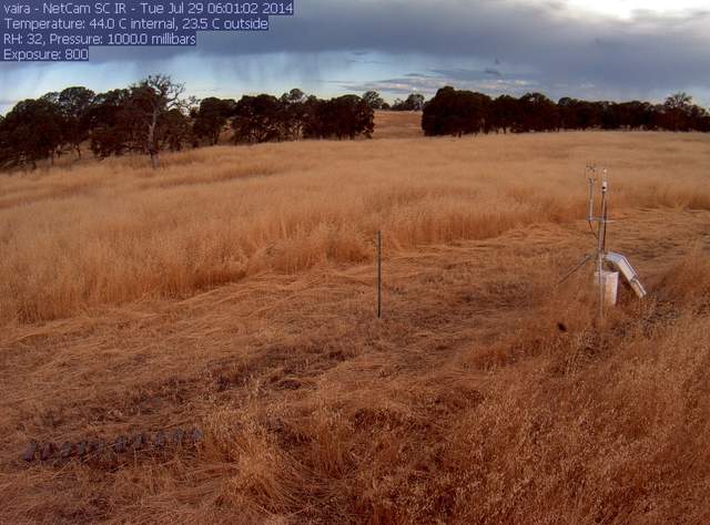 Mowing along fence