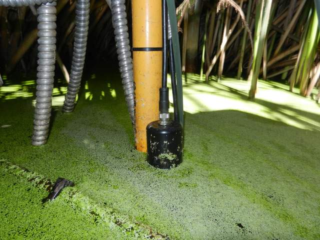 The top of the FR co2 probe is exposed but the bottom half with the filter was still under water.
