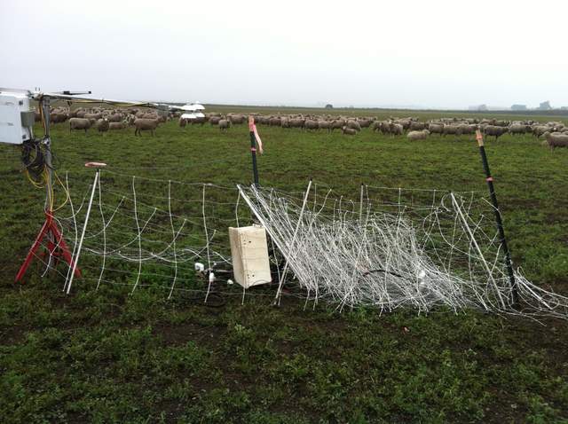  Crappy Sheep Barrier