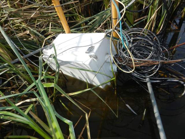 The data logger box was half submerged but the wiring ports were above water and the box sealed tight enough not to leak