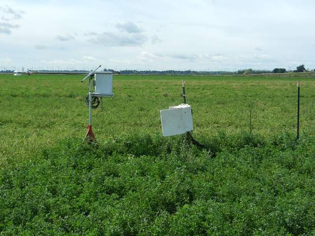 Radiation and soil sensors, field mowed by sheep