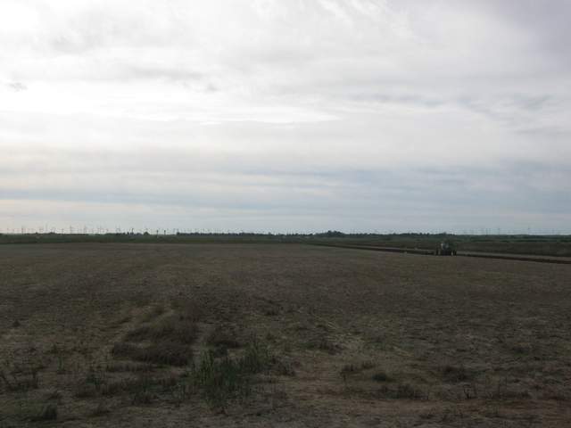 Plowing the field