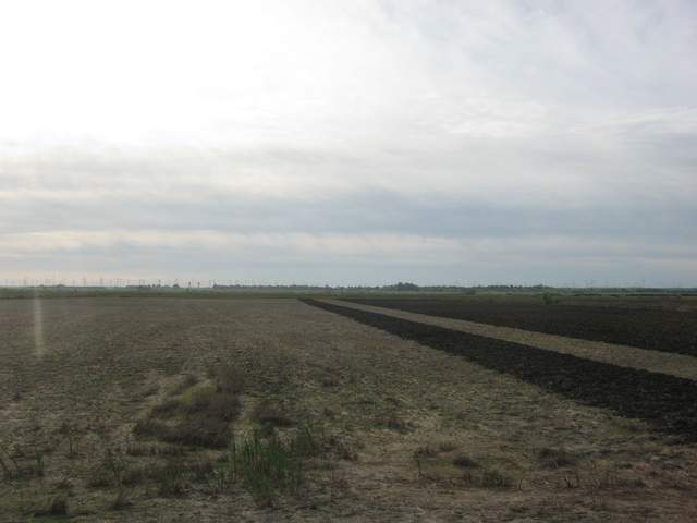 Plowing the field