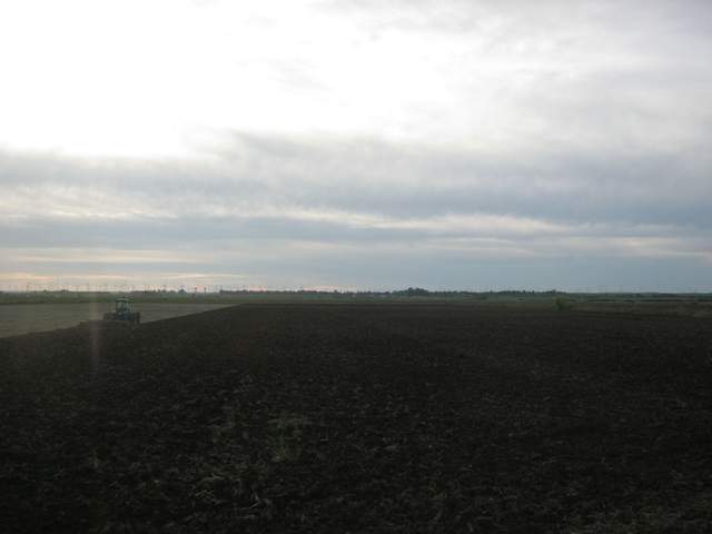 Plowing the field