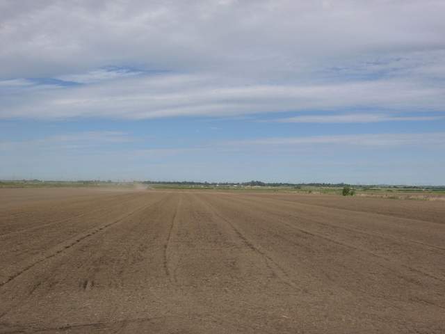 Tractor work on the field