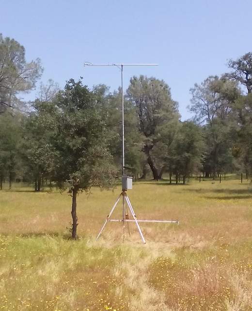 Two IRT sensors installed, one pointing at the top of a small tree and one pointing at the ground at a spot cleared of vegetation