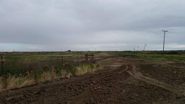 Tractors on site beginning wetland construction