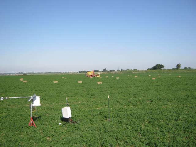 Picking up the bales