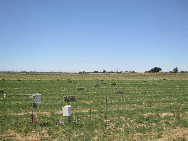 Making bales