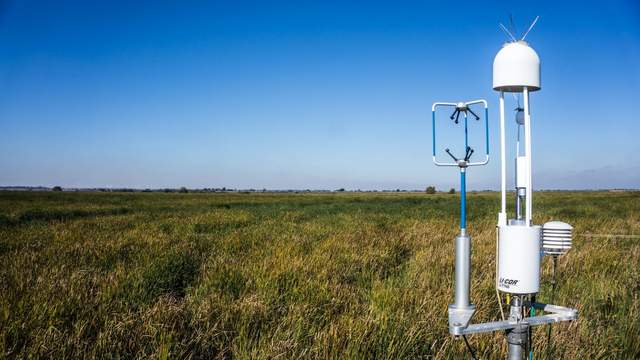 Eddy sensors over mostly green wetland