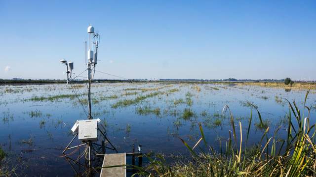 Eddy covariance tower over flooded rice field