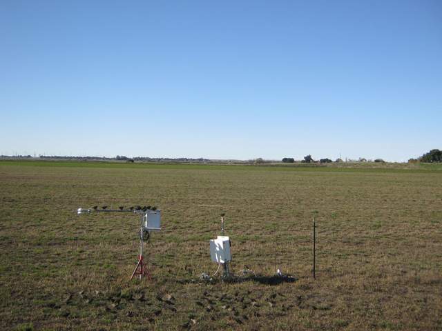 Birds on the radiation boom and ground