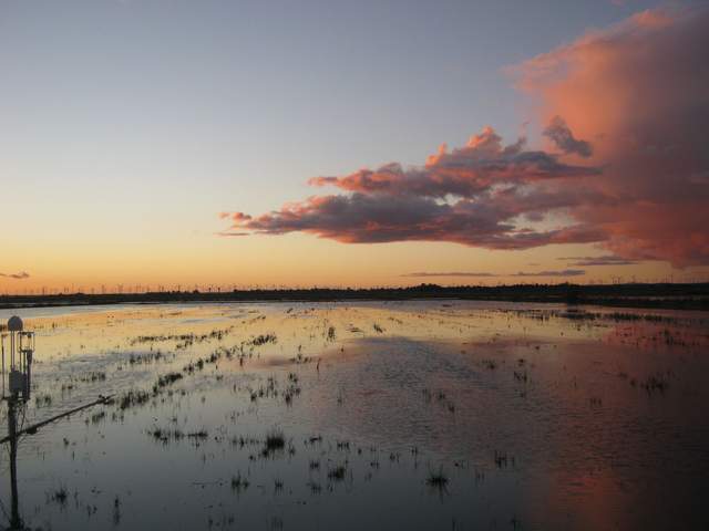 Beautiful clouds