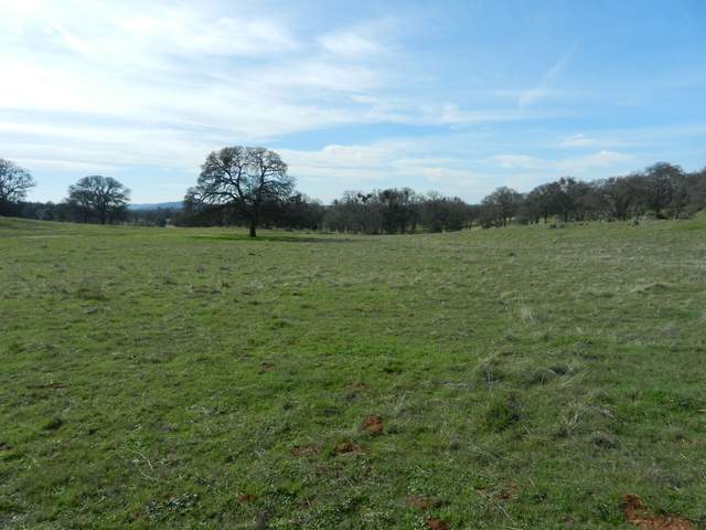 Green pasture and oak trees in the distance