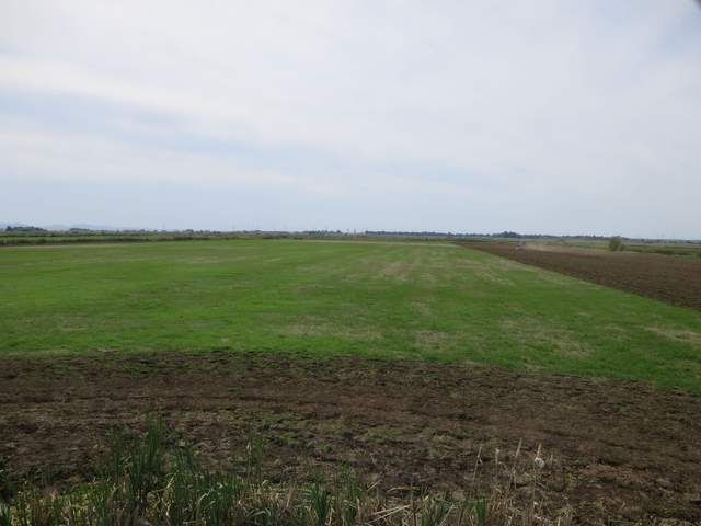 Tractor prepping field