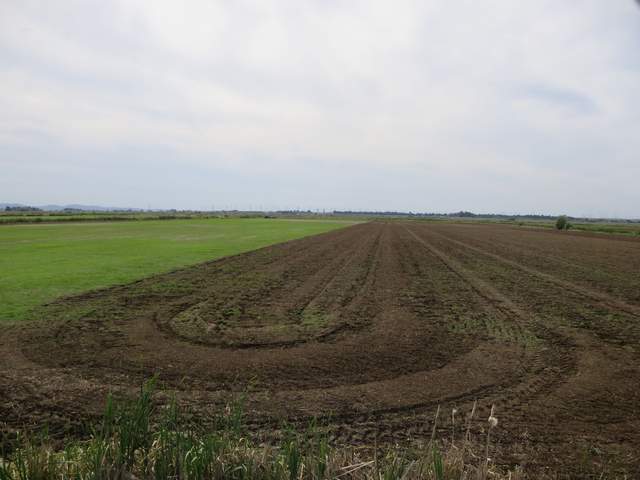 Tractor prepping field