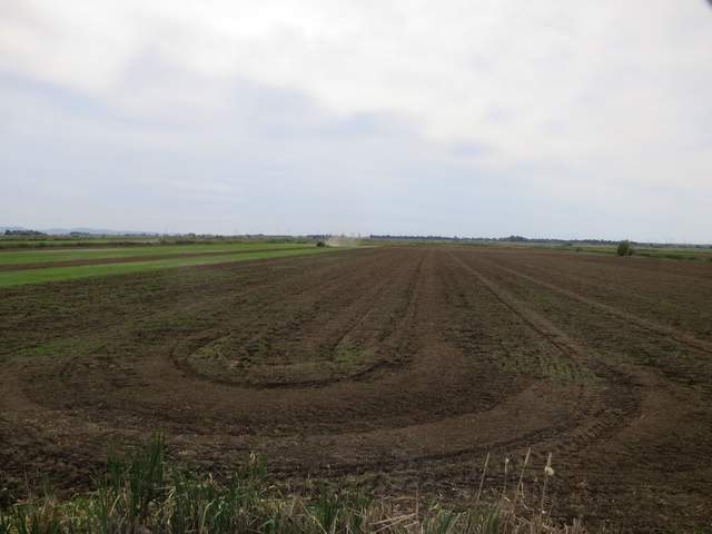 Tractor prepping field