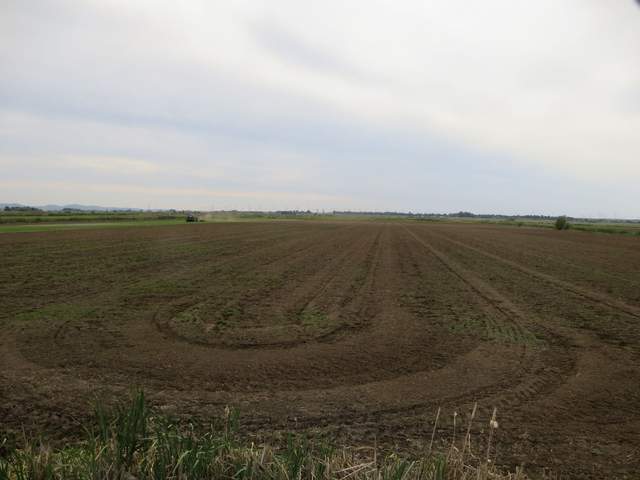 Tractor prepping field