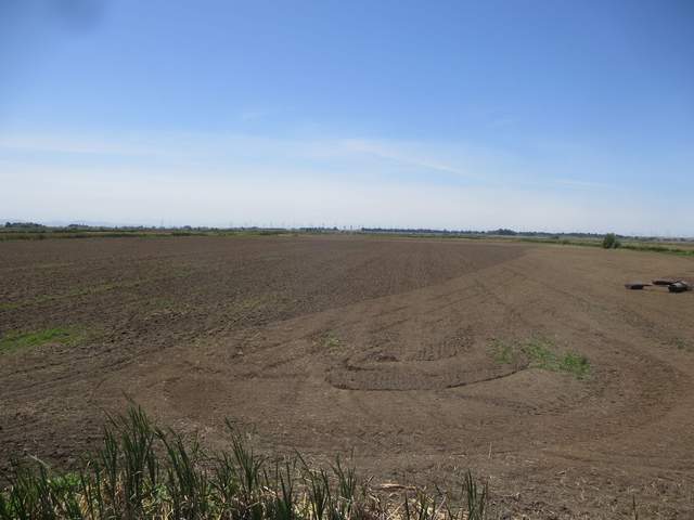 Tractor rolling field