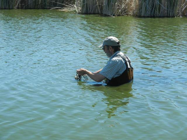 Dennis servicing the water sensor in the Mayberry channel