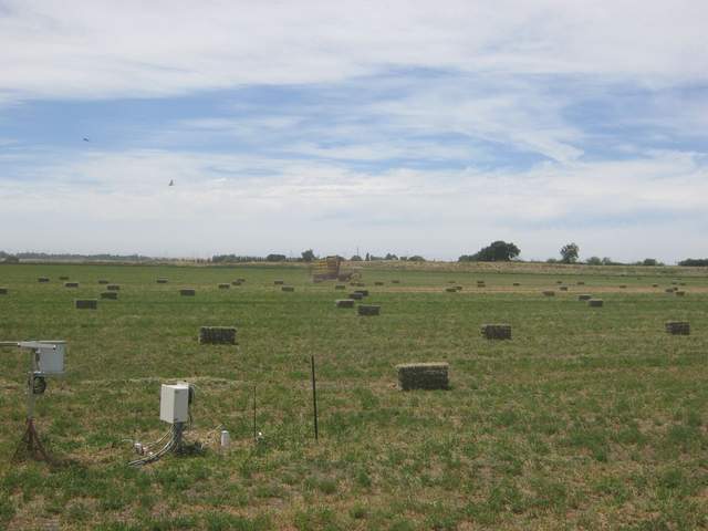 Collecting bales