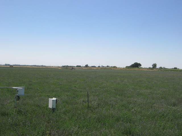 Mowing west end of field