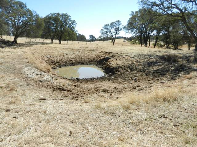 Watering hole at Vaira surrounded by dry brown grass