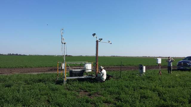 We moved the tower and solar panels in the alfalfa field to just to the north of the soil sensors.