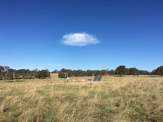 Single cloud over half green, half brown field