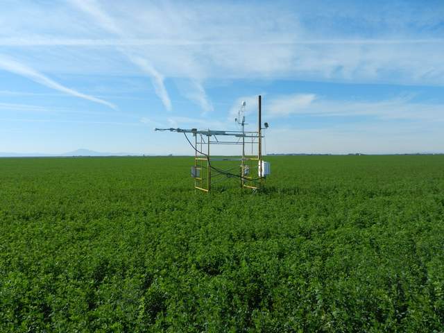 Eddy covariance and meteorological tower in the middle of a green alfalfa fields. The sky is blue with streaks and bands of cirrus clouds.