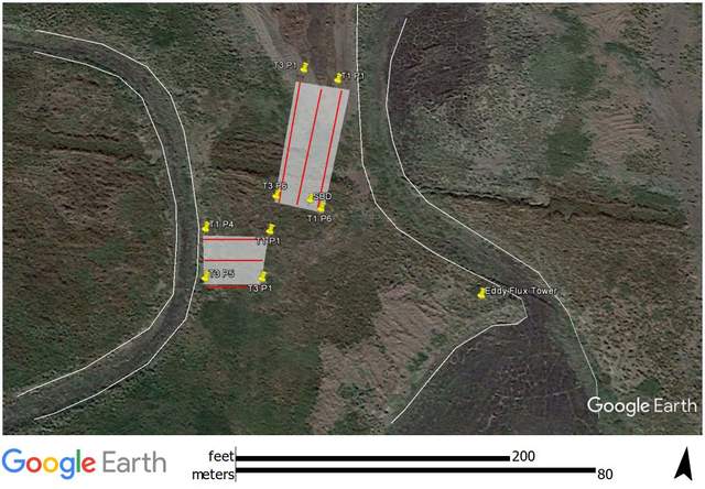Location of soils sampled for carbon and nitrogen analysis