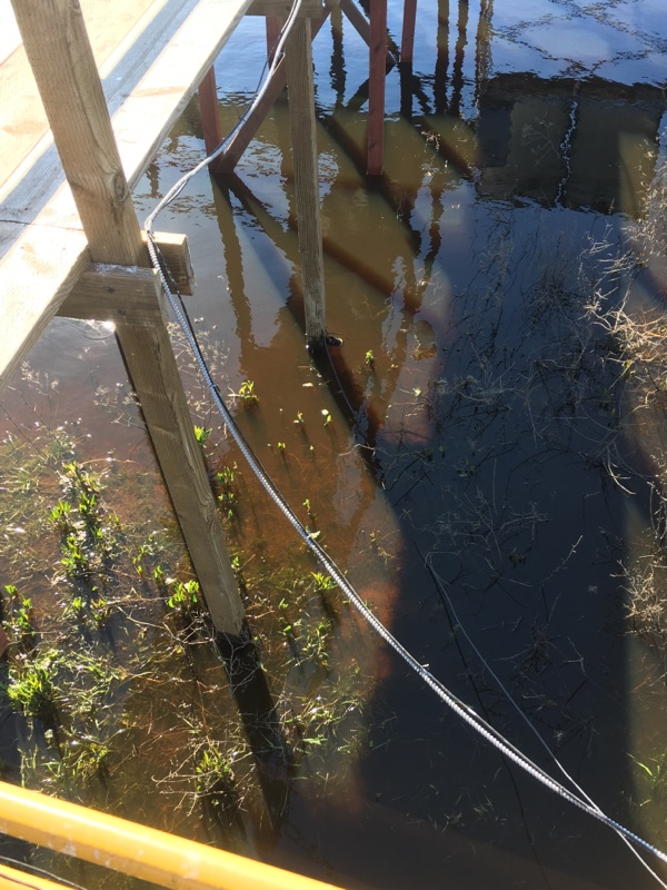 Dissolved CO2 eosGP probe is tied to one of the boardwalk legs