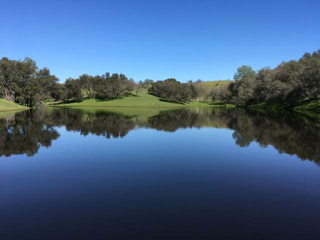 Nice reflections on Vaira Pond
